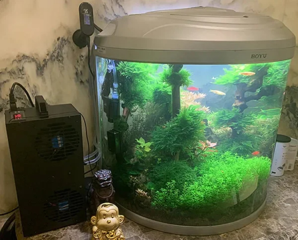 Aquarium Fish Small - Constant Temperature Adjustable Semiconductor Refrigerator Small