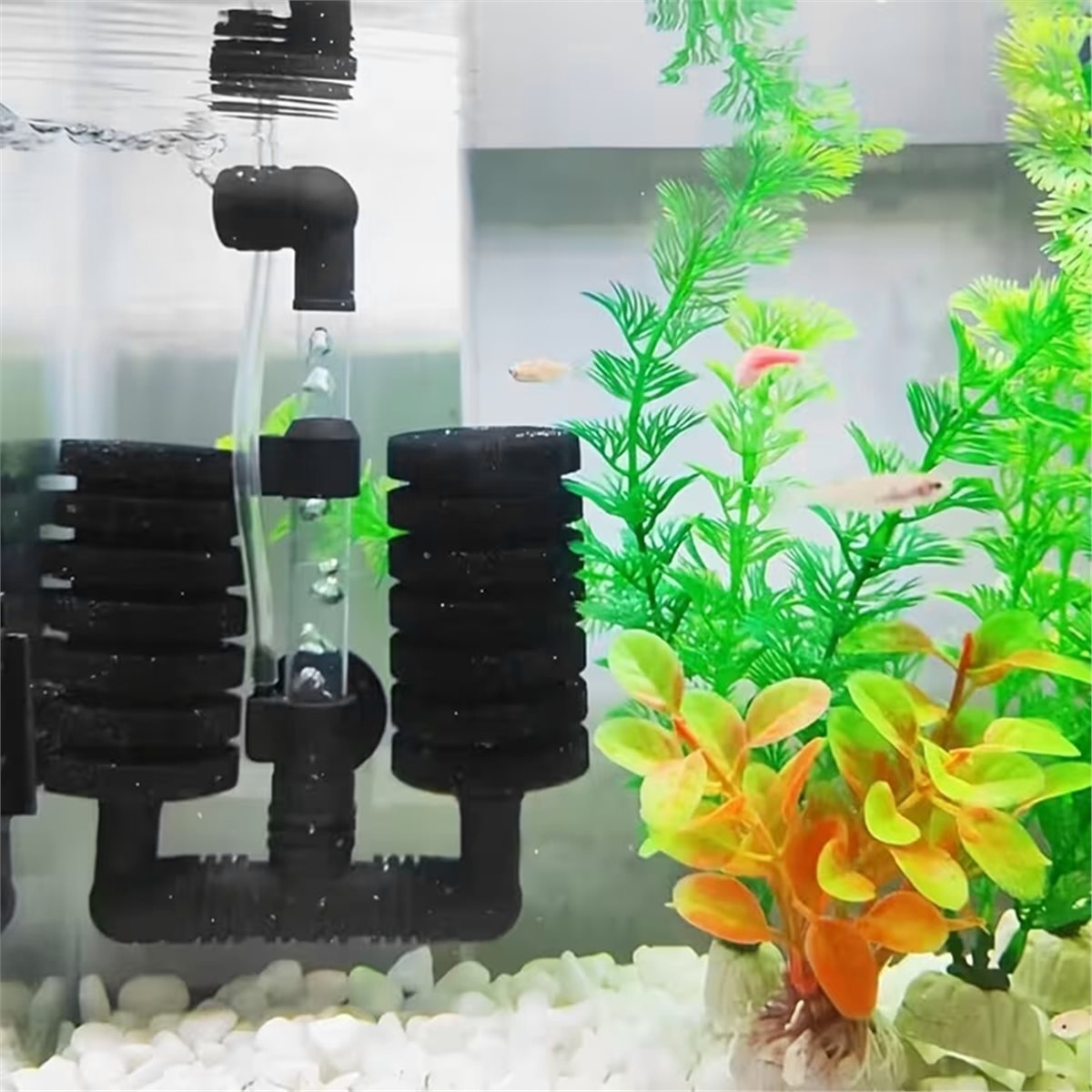 Aquarium Fish List - 【MUST-HAVE LIST】 Aquarium Filter for Aquarium