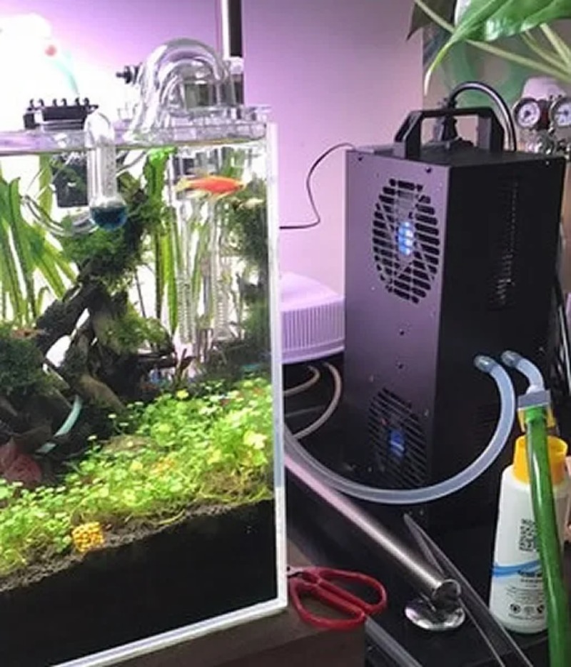 Constant Temperature Adjustabl - Aquarium Fish Small review and price