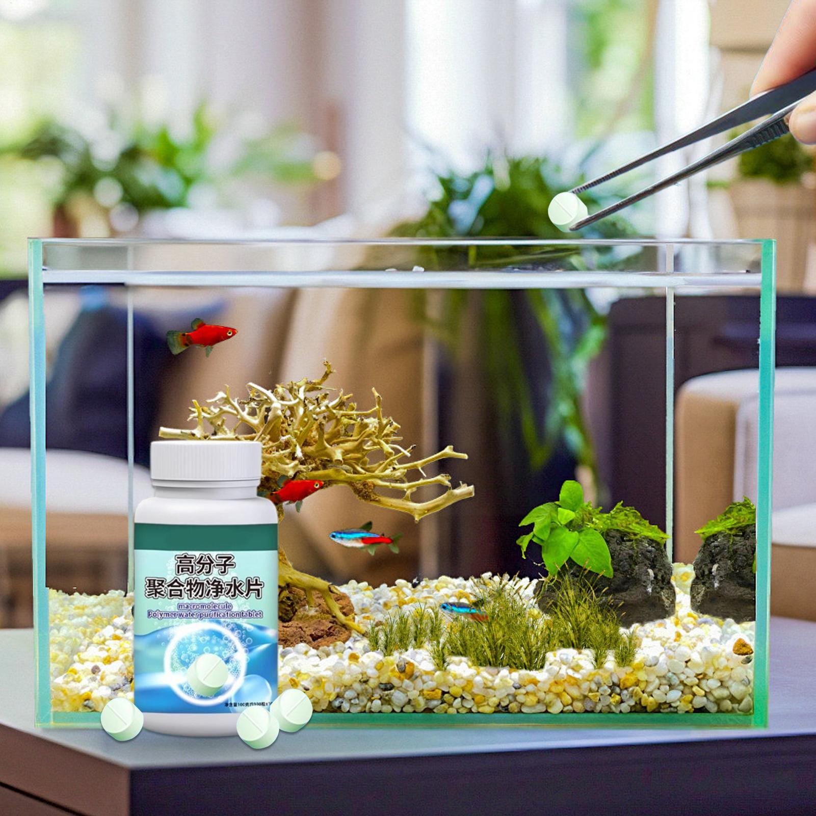 Fish Can Algae Remover Aquariu - Aquarium Fish Care review and price