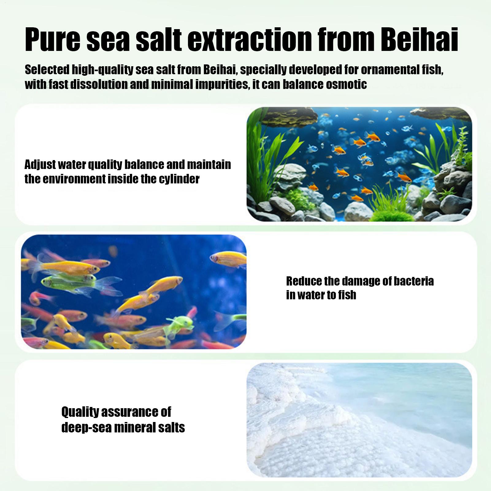 Fish Can Algae Remover Aquariu - Aquarium Fish Care review and price