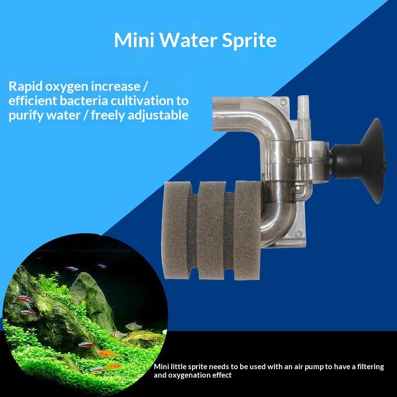 .Hot Sale-Mini Aquarium Sponge - Aquarium Fish For Sale review and price