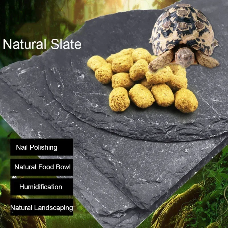 Natural Slate Aquarium Pet Rep - Aquarium Fish Food review and price