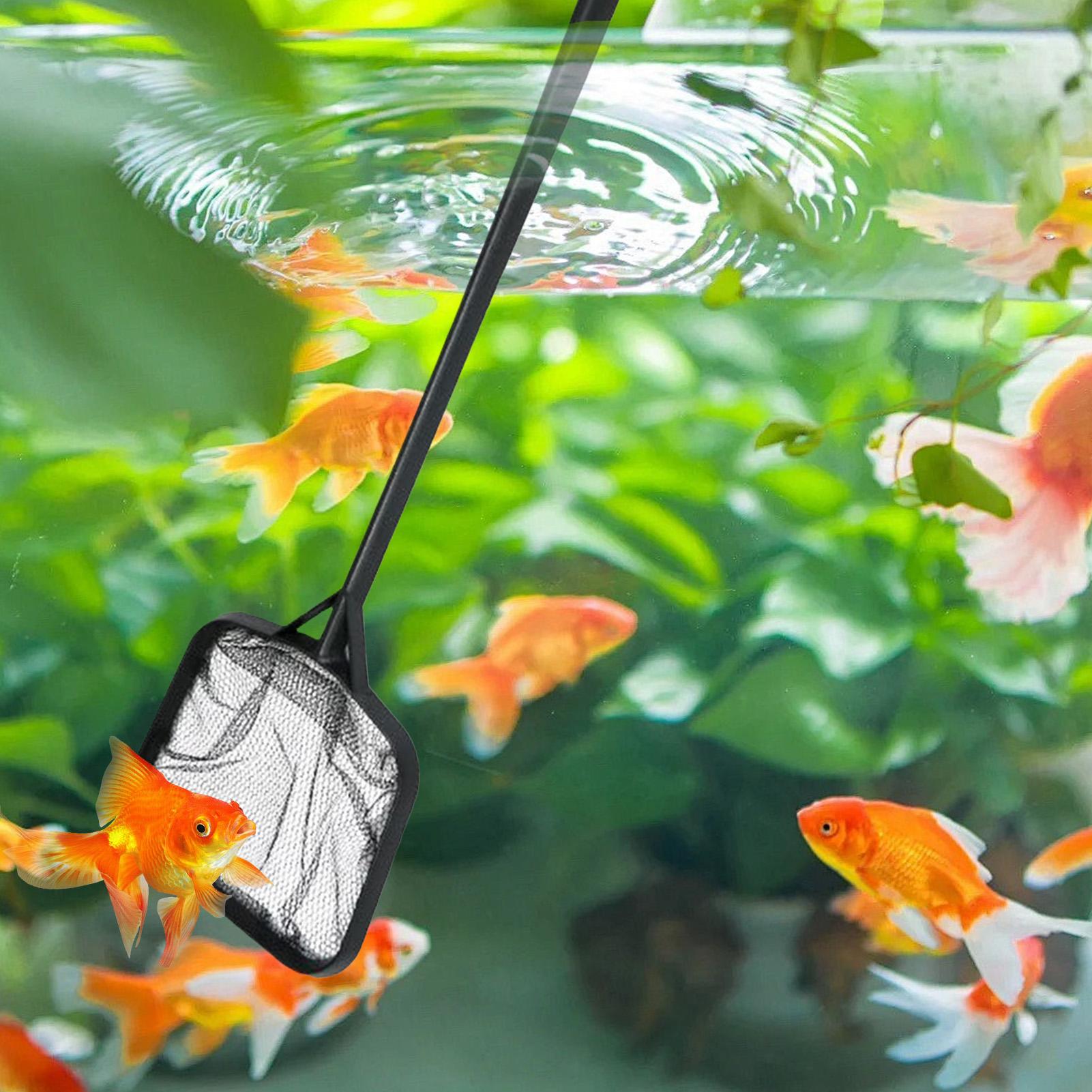 Pool Nets for Cleaning Portabl - Aquarium Fish Care review and price
