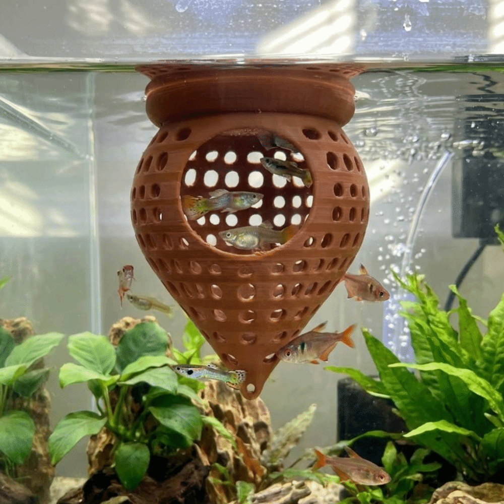 3D Printed Floating Fish Hammo - Aquarium Fish Food review and price