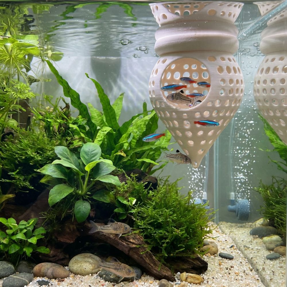 3D Printed Floating Fish Hammo - Aquarium Fish Food review and price
