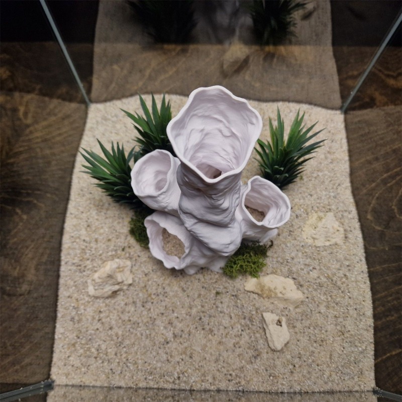 Hot Sale 3D Printed Coral Tunn - Aquarium Fish For Sale review and price