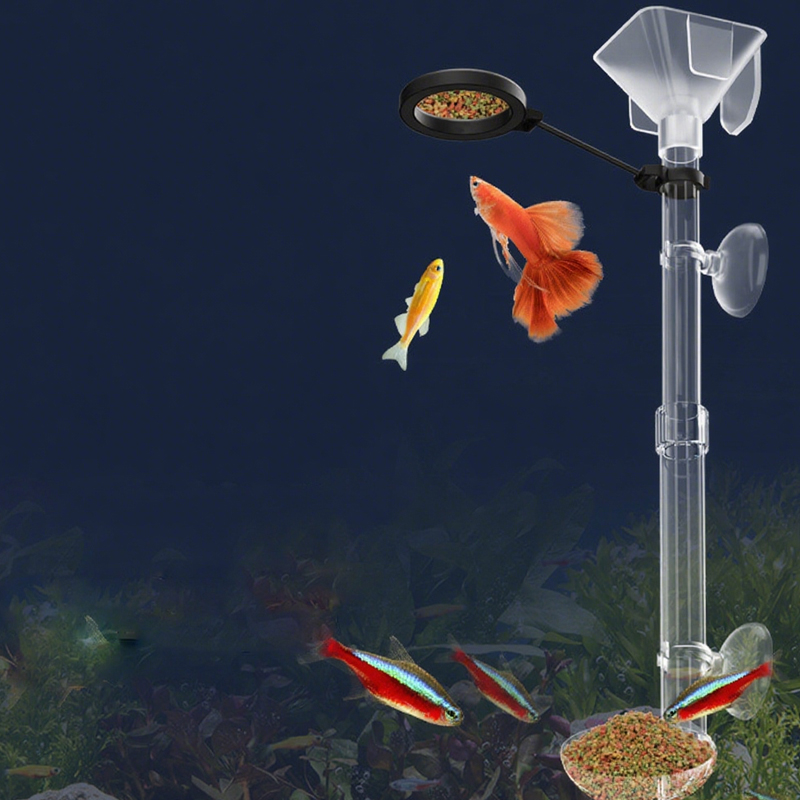 Acrylic Aquarium Fish Feeder T - Aquarium Fish Feeder review and price