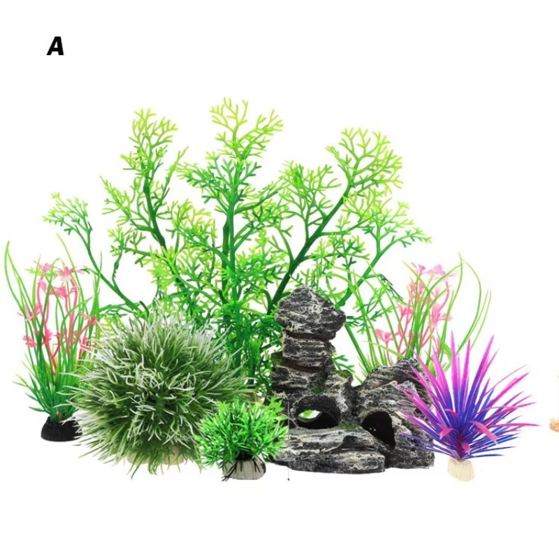 10pcs Hot Selling New Arrival  - Aquarium Fish For Sale review and price