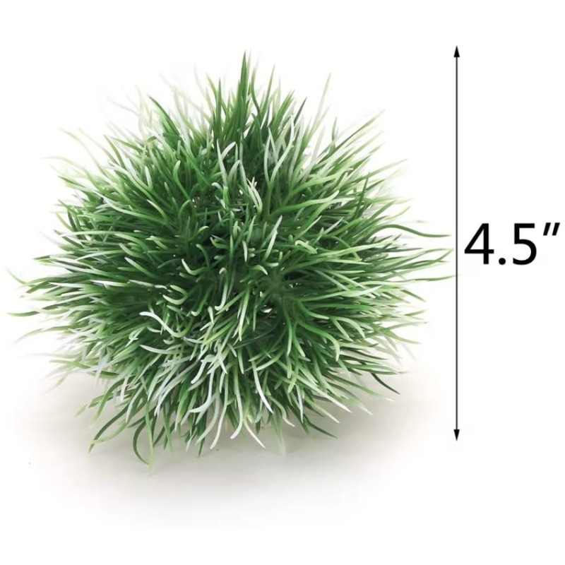 10pcs Hot Selling New Arrival  - Aquarium Fish For Sale review and price