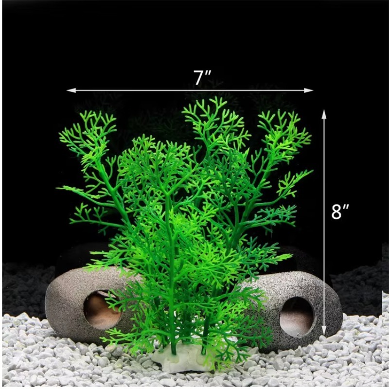 10pcs Hot Selling New Arrival  - Aquarium Fish For Sale review and price