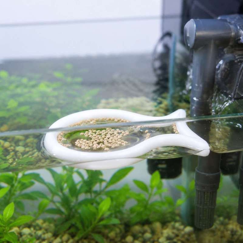 Fish Shaped Floating Feeding R - Aquarium Fish Food review and price