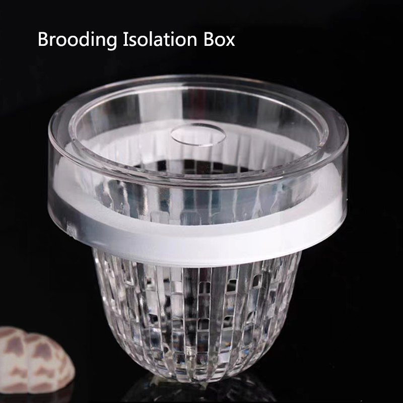 Acrylic Floating Fish Breeding - Aquarium Fish Feeder review and price