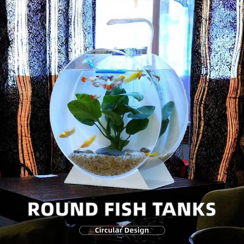 Hot Sale Modern Eco-Friendly A - Aquarium Fish For Sale review and price