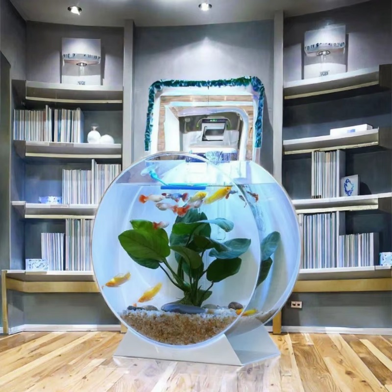 Hot Sale Modern Eco-Friendly A - Aquarium Fish For Sale review and price