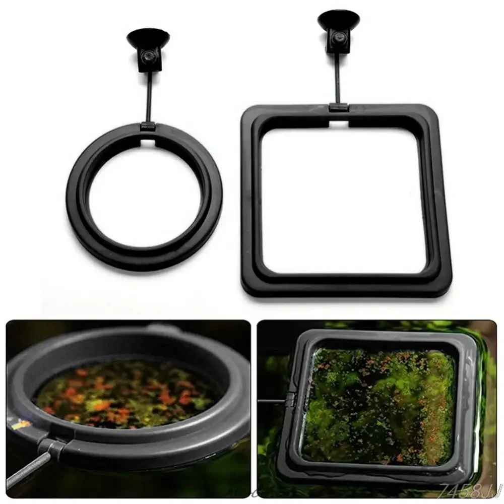 Feed Suction Cup Aquarium Feed - Aquarium Fish Food review and price