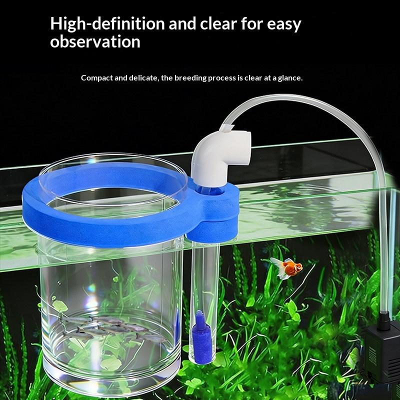 Transparent Acrylic Fish Breed - Aquarium Fish Food review and price