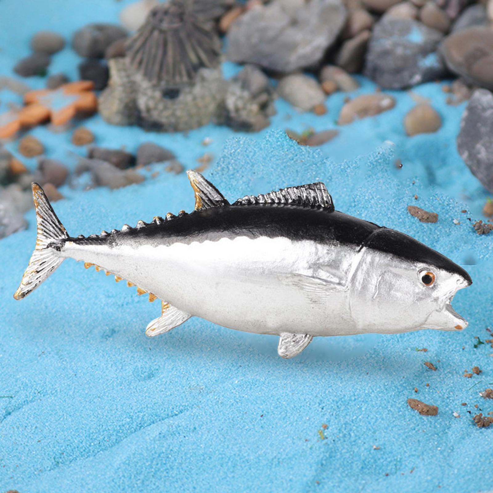 Aquarium Decorations Cognitive - Aquarium Fish Small review and price