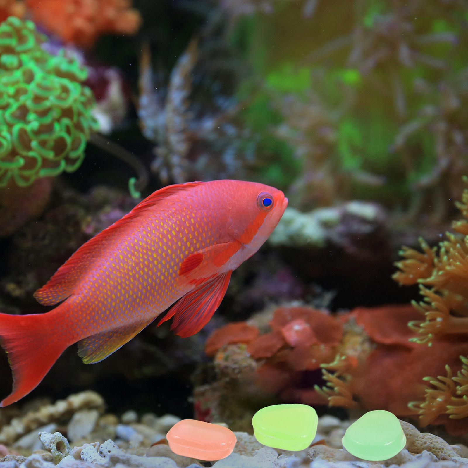 400Pcs Glow in The Dark Pebble - Aquarium Fish That Glow In The Dark review and price