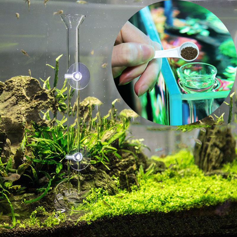 Glass Aquarium Feeder Tube Dis - Aquarium Fish Feeder review and price