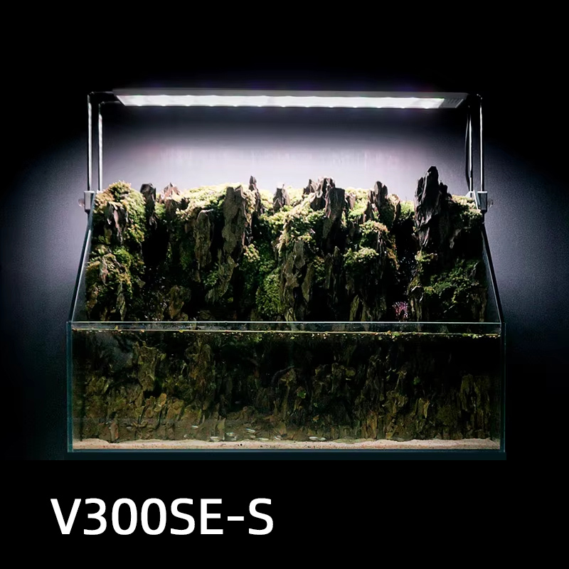 V300SE Best Price 30 40cm Fres - Aquarium Fish And Price review and price