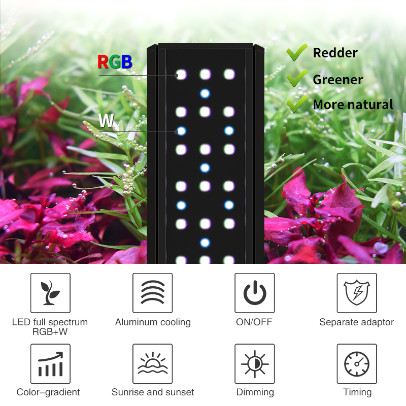 V300SE Best Price 30 40cm Fres - Aquarium Fish And Price review and price