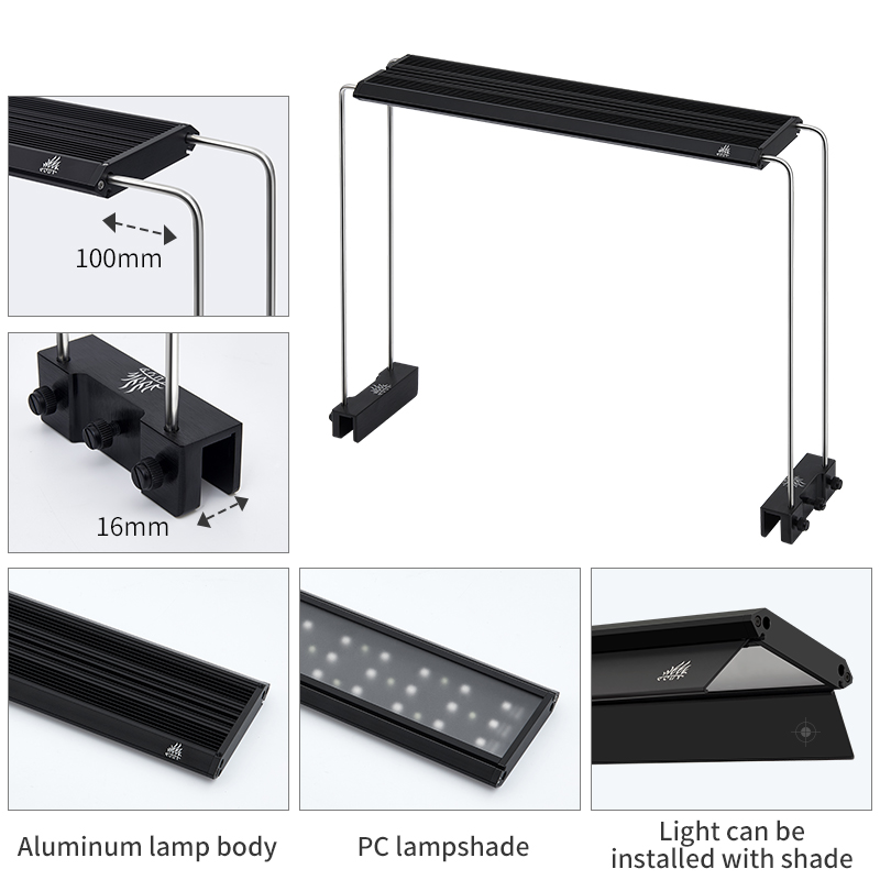 V300SE Best Price 30 40cm Fres - Aquarium Fish And Price review and price