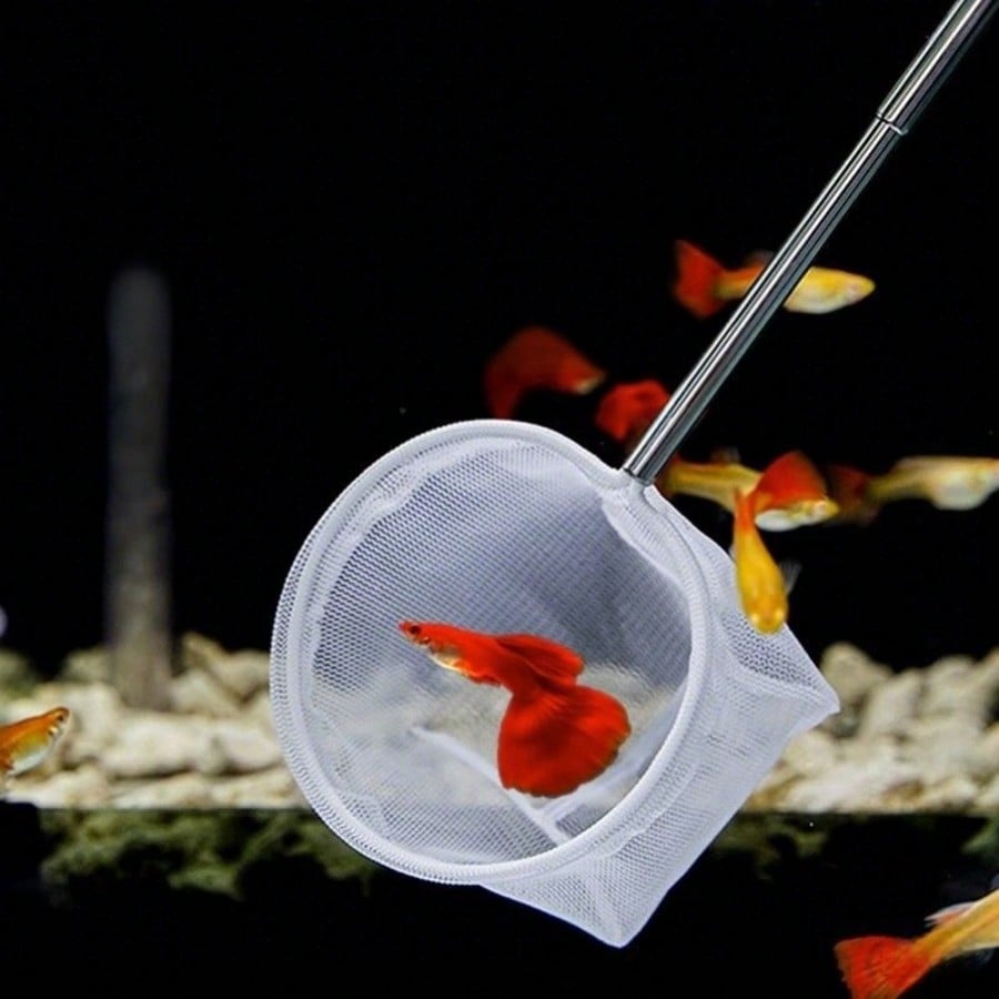 Aquarium Fish Net - a Retracta - Aquarium Fish Food review and price