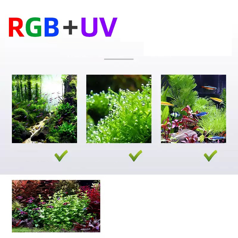 Led Lighting 60cm 80cm 90cm RG - Aquarium Fish For Sale review and price