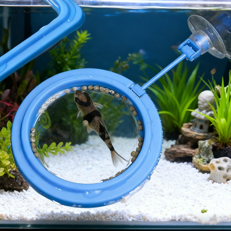 Aquarium Fish Tank Feeding Rin - Aquarium Fish Feeder review and price