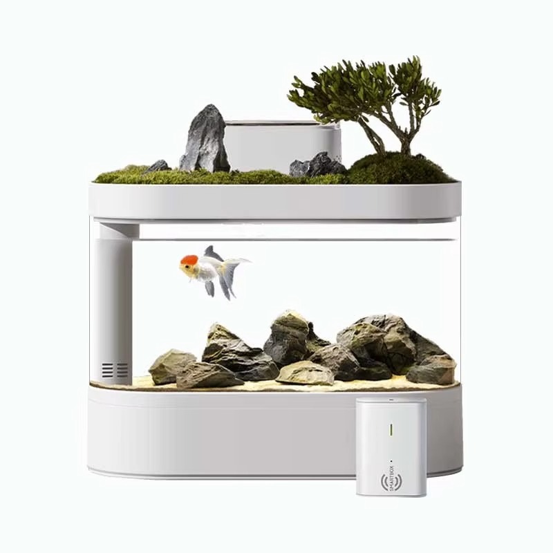 Desktop Smart Aquarium Fish Ta - Aquarium Fish Feeder review and price