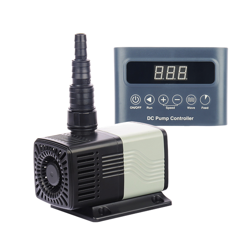 Factory Direct Wholesaler Pric - Aquarium Fish And Price review and price