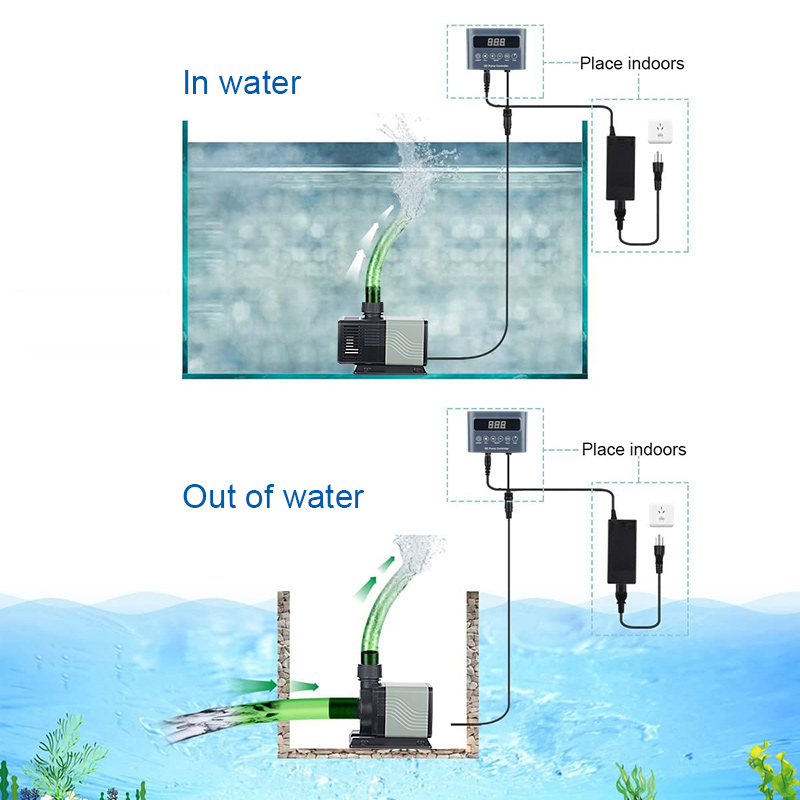 Factory Direct Wholesaler Pric - Aquarium Fish And Price review and price
