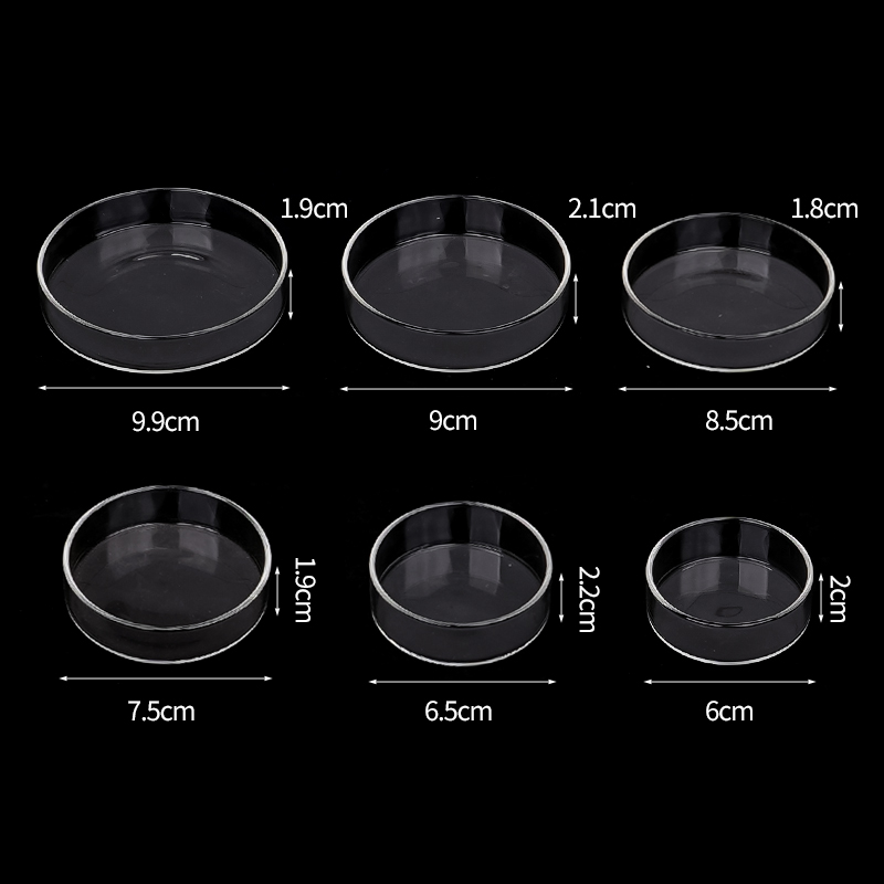 Shrimp Feeding Dish High Trans - Aquarium Fish Food review and price