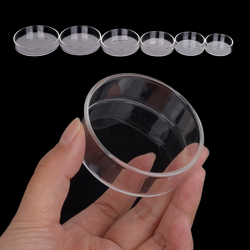 Shrimp Feeding Dish High Trans - Aquarium Fish Food review and price