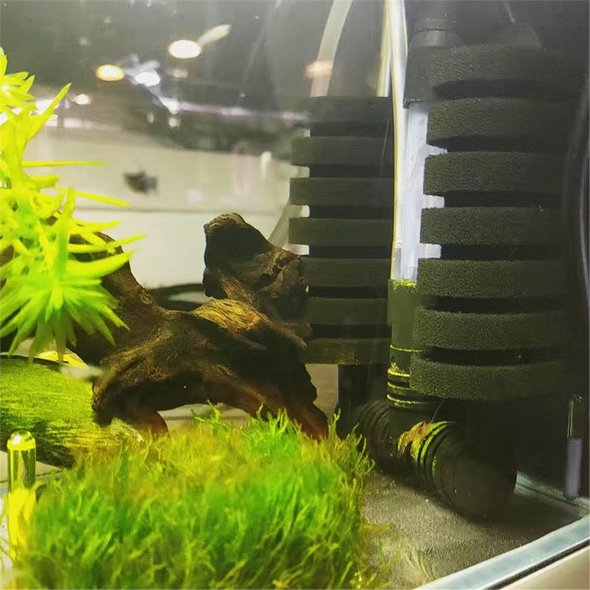 【MUST-HAVE LIST】 Aquarium Filt - Aquarium Fish List review and price