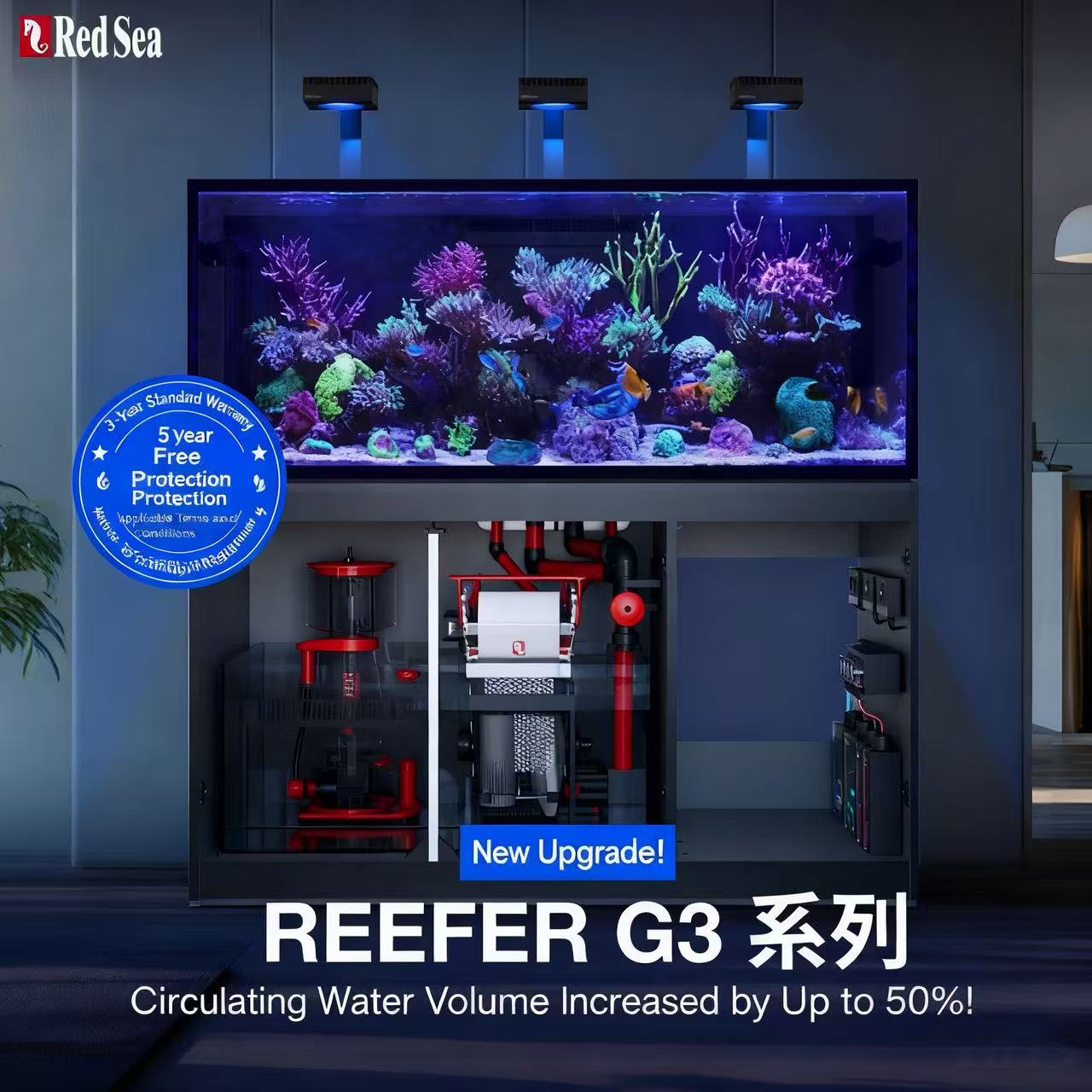 2026 Hot Selling Wholesale Pri - Aquarium Fish And Price review and price