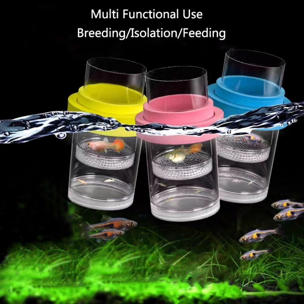 Plastic Floating Fish Breeding - Aquarium Fish Feeder review and price