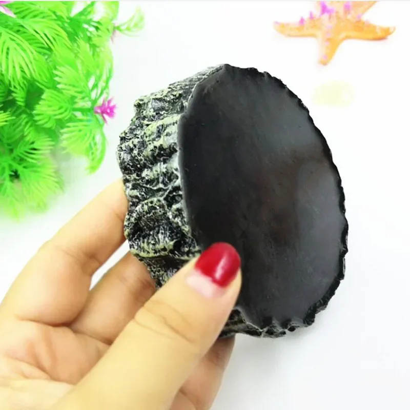 Pet Reptile Feeder Bowl Resin  - Aquarium Fish Food review and price