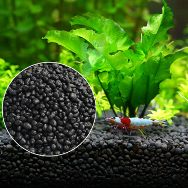 Aquarium Plant Seeds Soil Fish - Aquarium Fish Care review and price