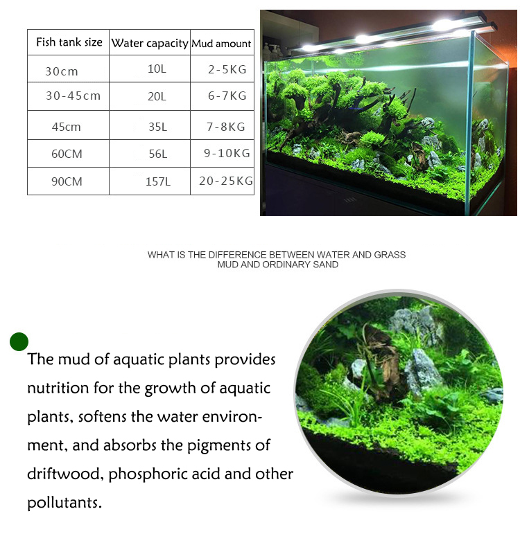Aquarium Plant Seeds Soil Fish - Aquarium Fish Care review and price