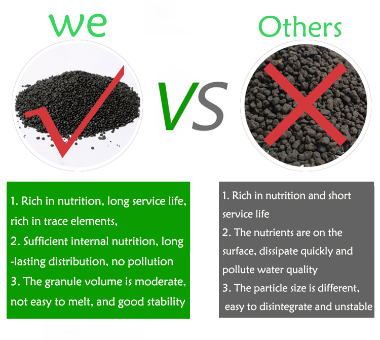 Aquarium Plant Seeds Soil Fish - Aquarium Fish Care review and price