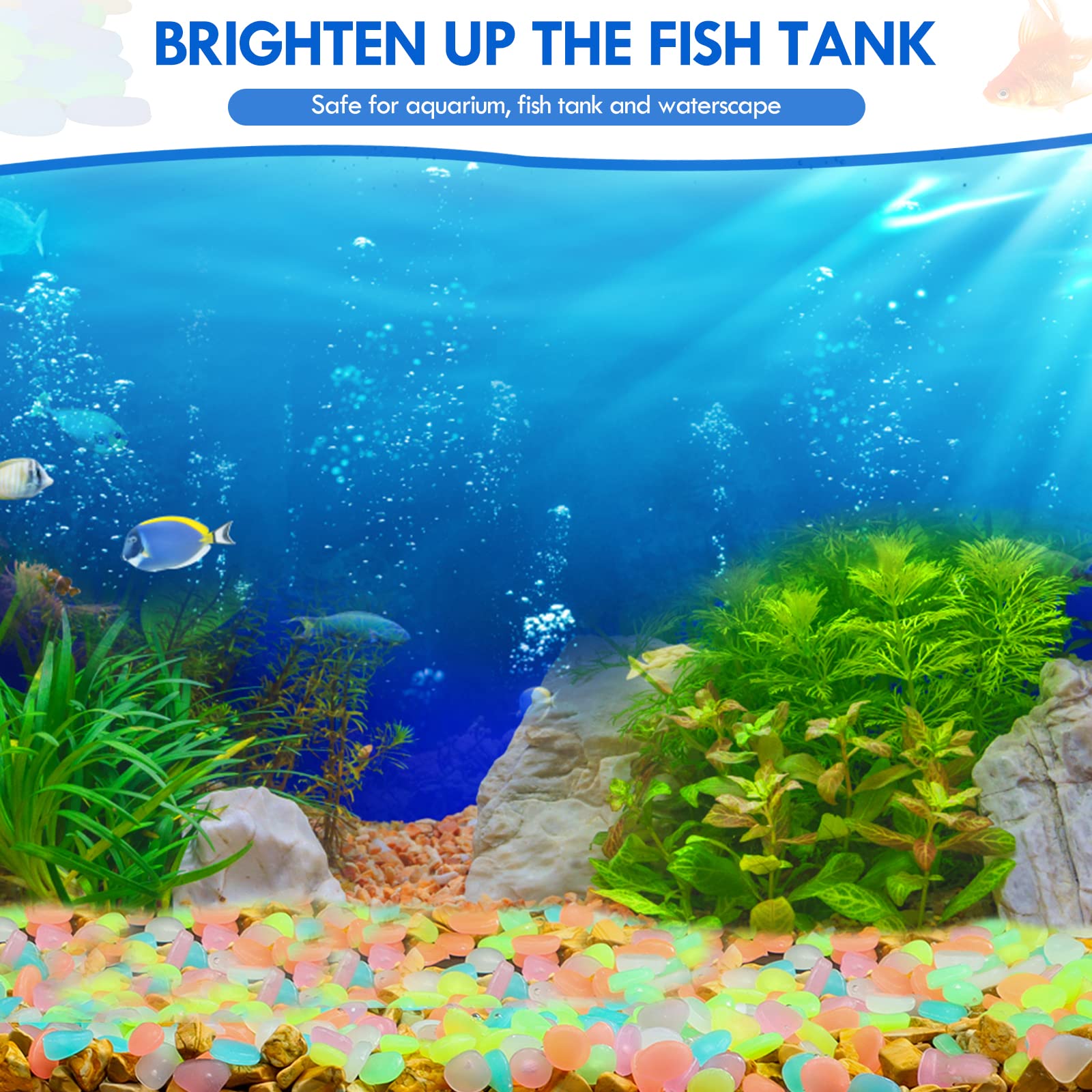 100Pcs Glow in the Dark Garden - Aquarium Fish That Glow In The Dark review and price