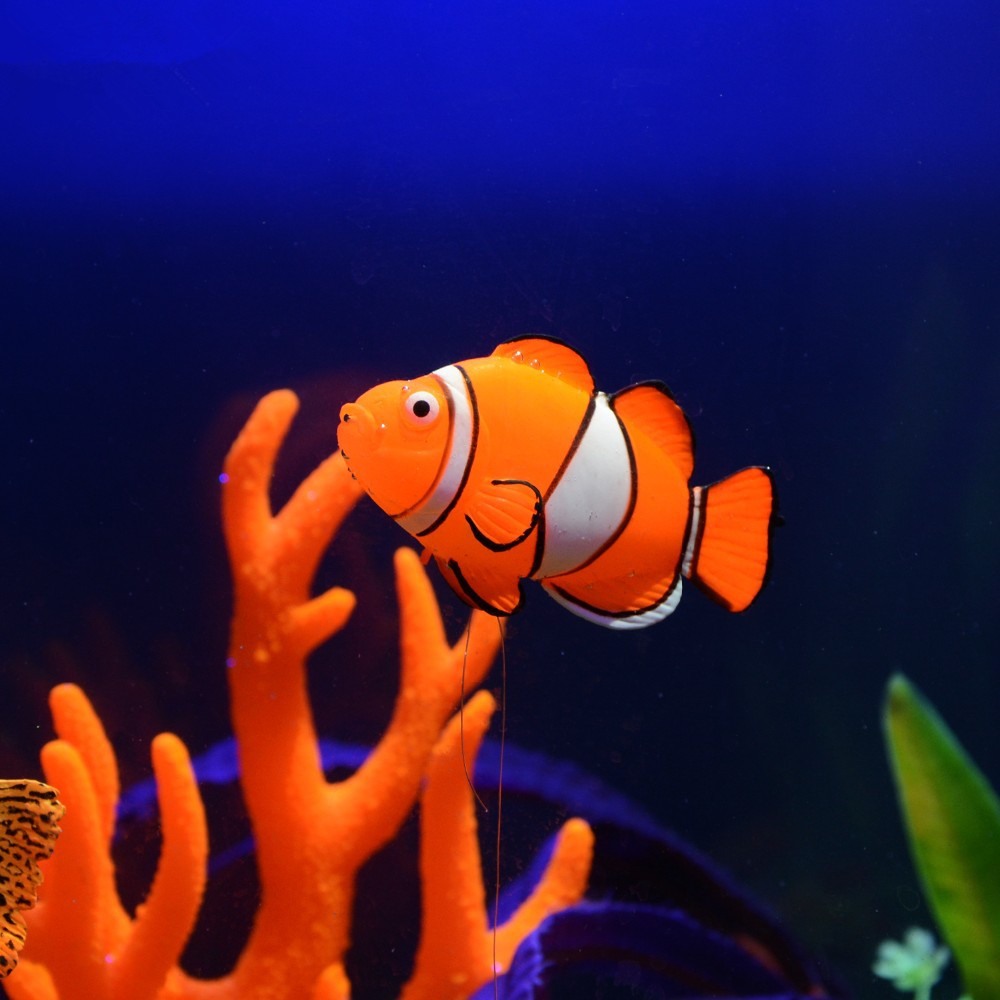 Glow in the Dark Luminous Sili - Aquarium Fish That Glow In The Dark review and price
