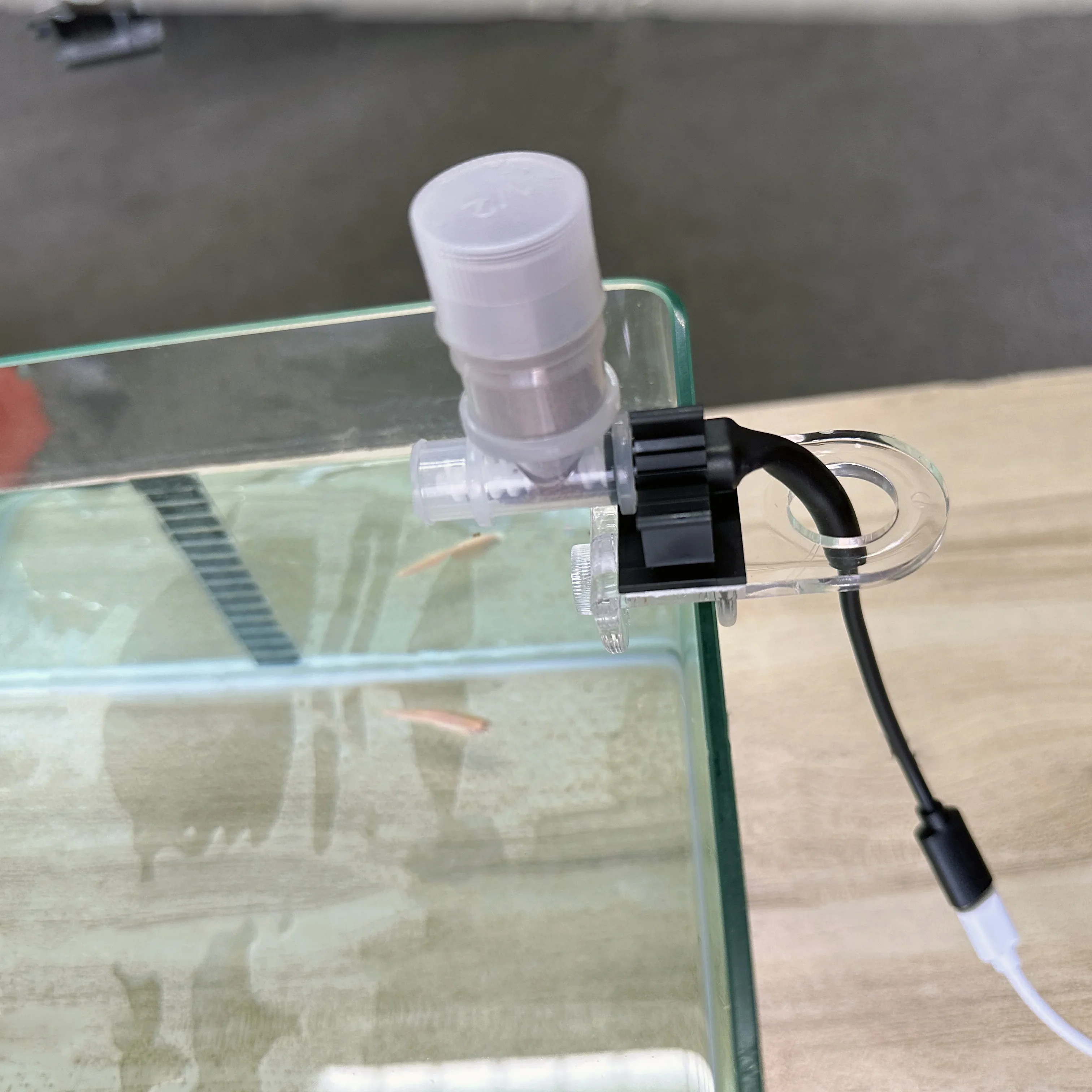 Best Automatic Fish Feeder - W - Aquarium Fish Feeder review and price