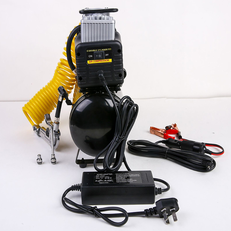 WAP01 2.5L 4L 12V 220V Air Com - Air Pump Silent review and price