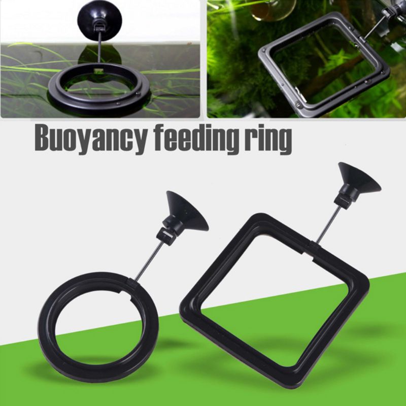 Aquarium Fish Feeding Ring Fis - Aquarium Fish Feeder review and price